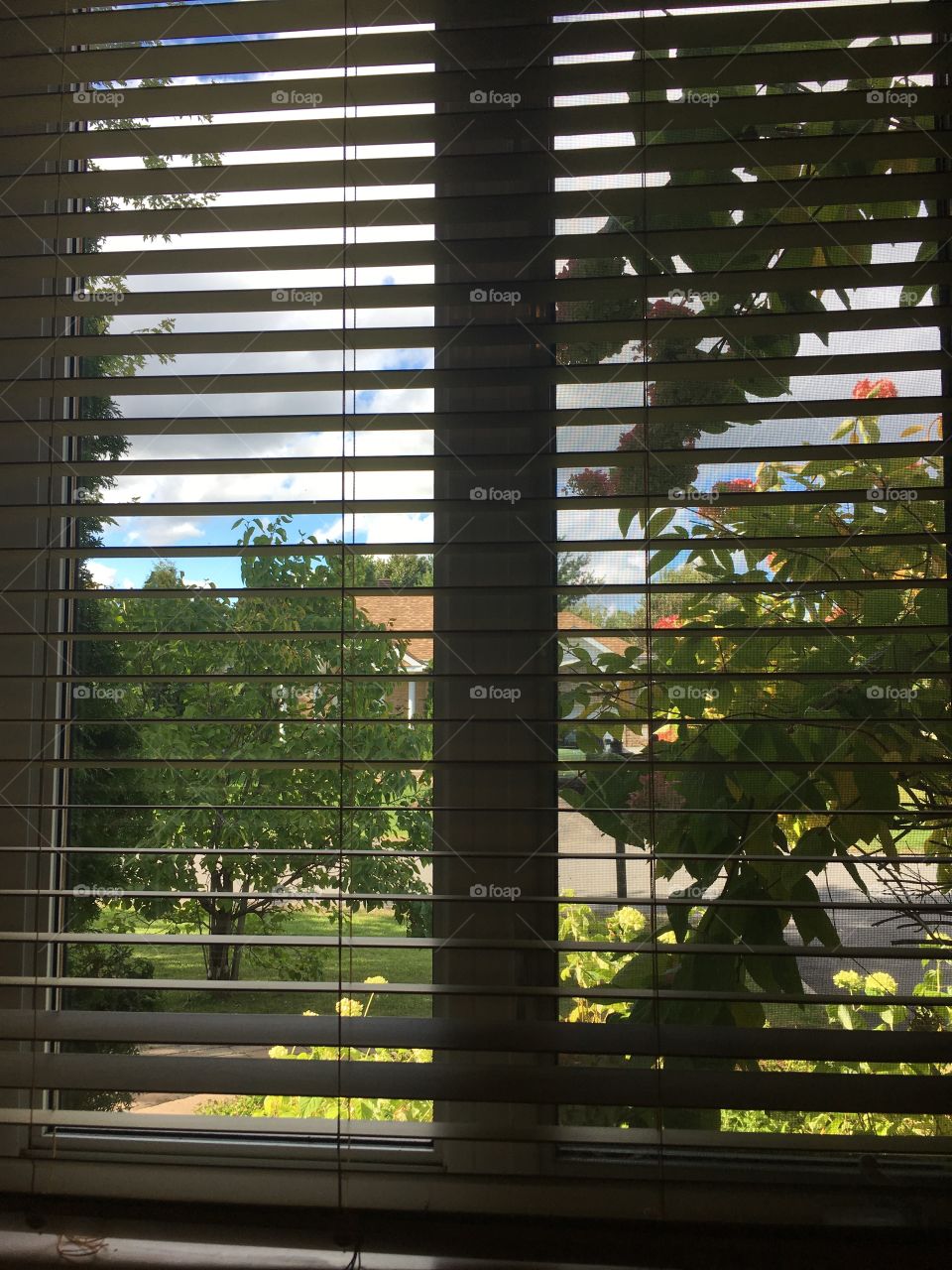 Beautiful day outside through the blinds
