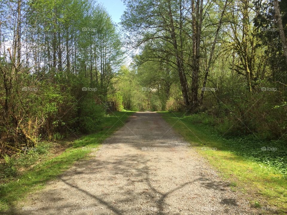 A beautiful path to hike with friends.