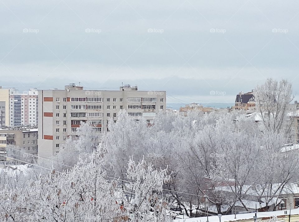 View from the window