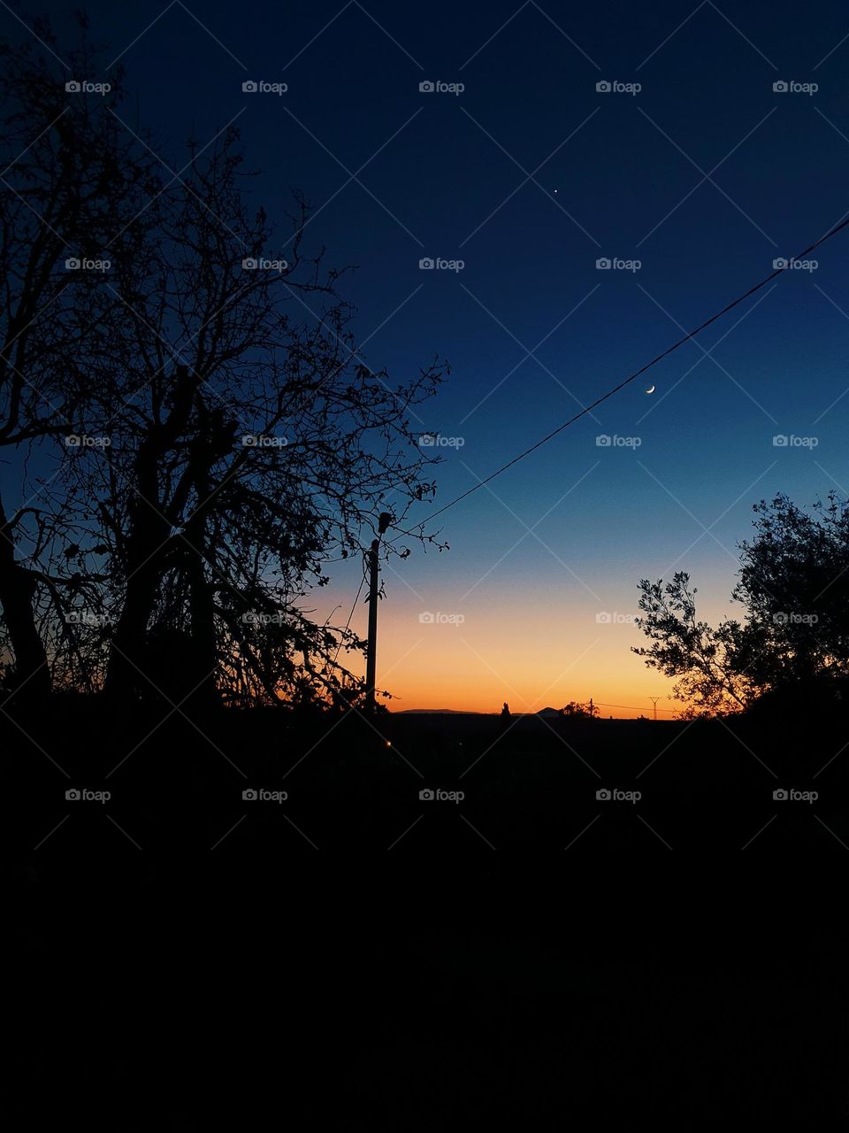 Sunset with Crescent Moon and Trees.Twilight Serenity: Crescent Moon and Silhouetted Trees