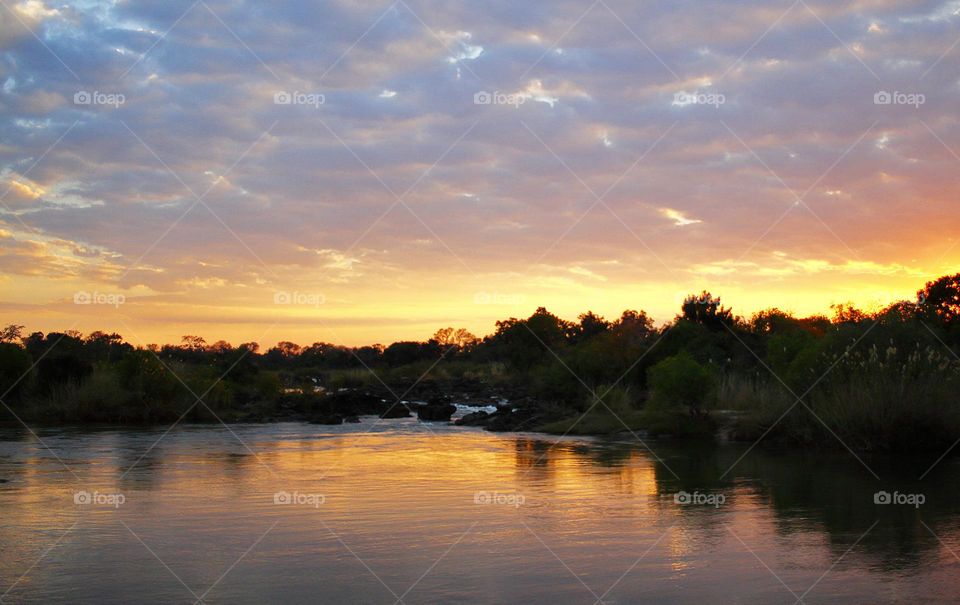 Kavango wildlife  Pictures