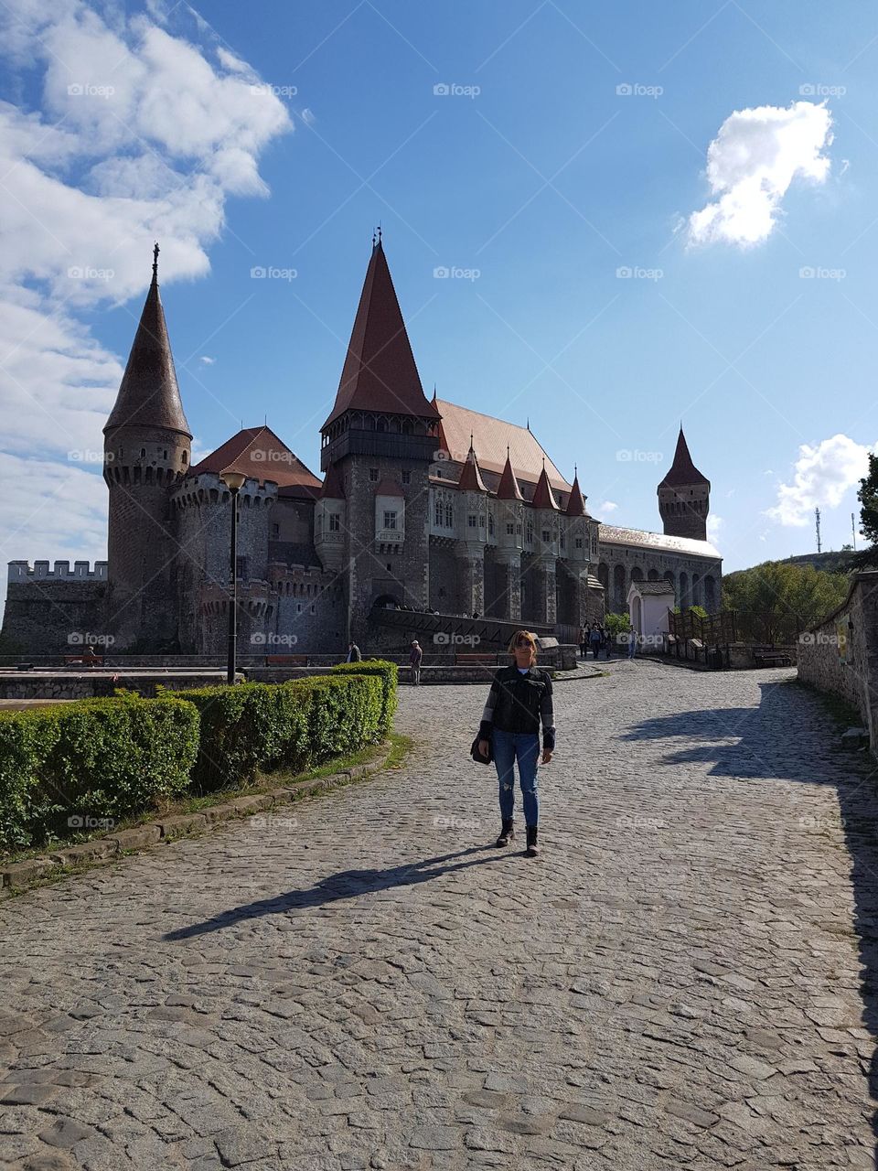 Hunedoara Castle