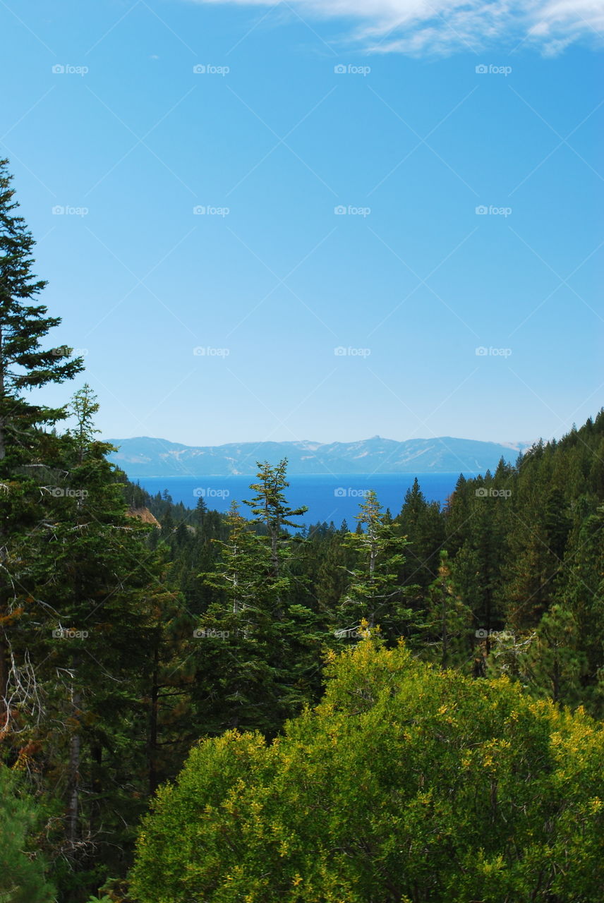 The view of the lake 