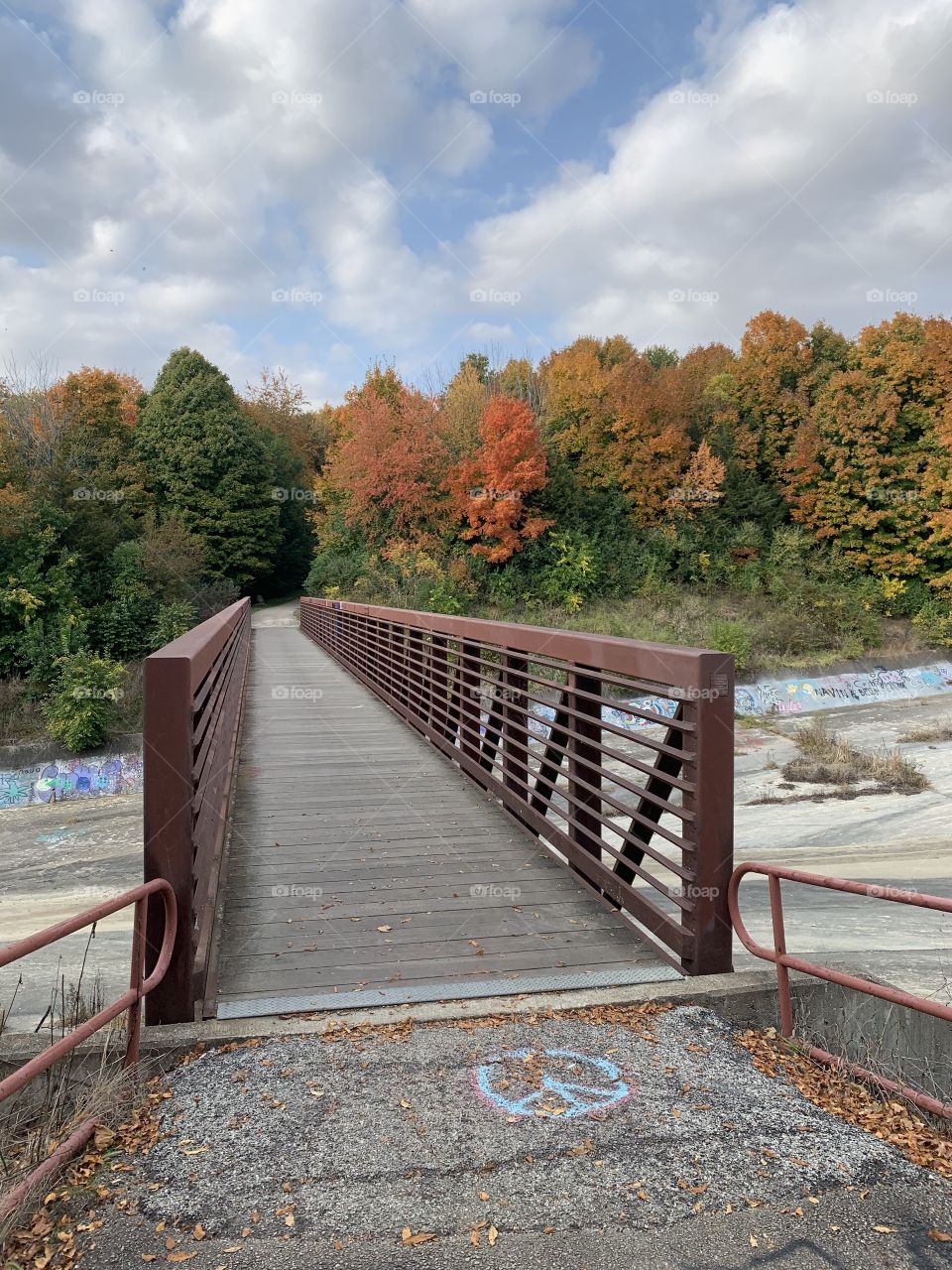 Lake bridge and fall colorful trees