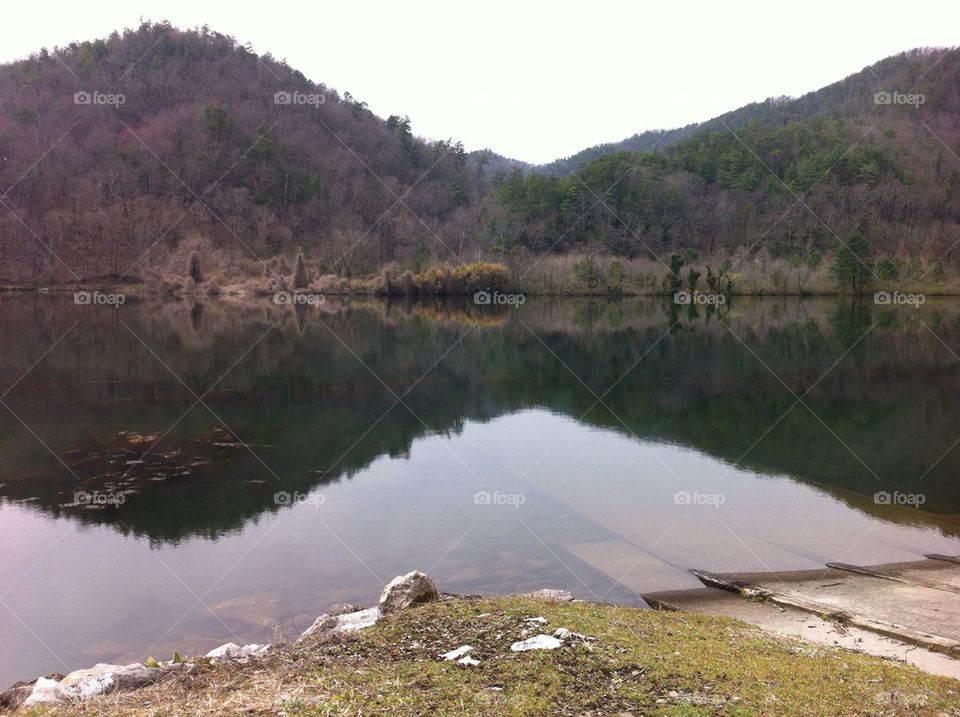 Reflection in the lake