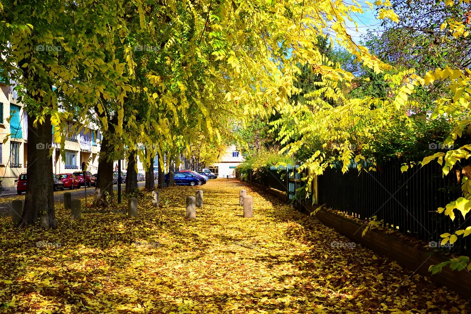 autumncity