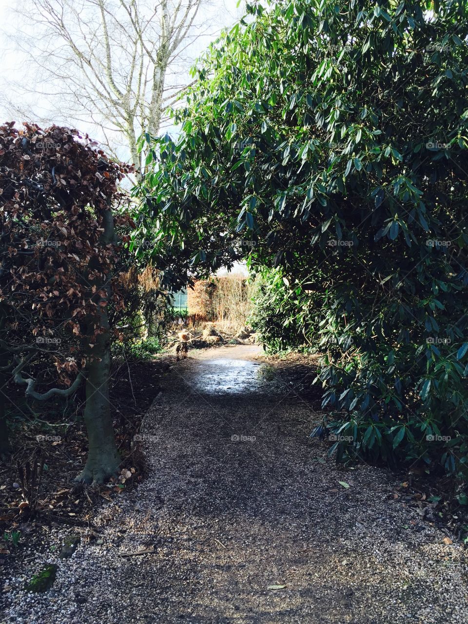 Leaved archway 