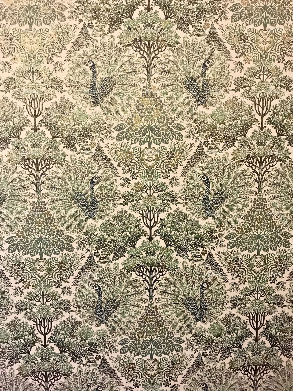 Peacock designed printed green wall papper