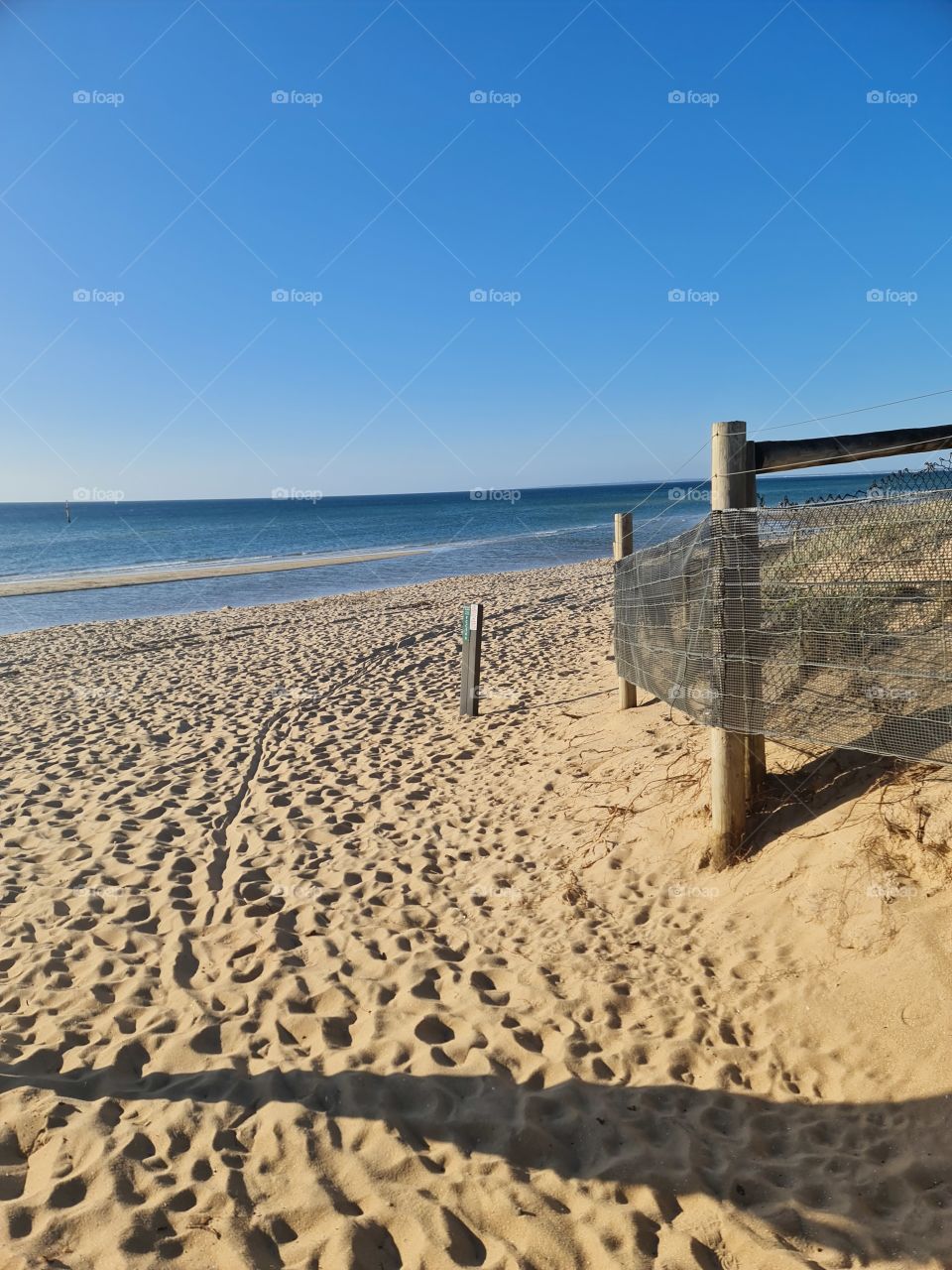 Peace of Summer Sands