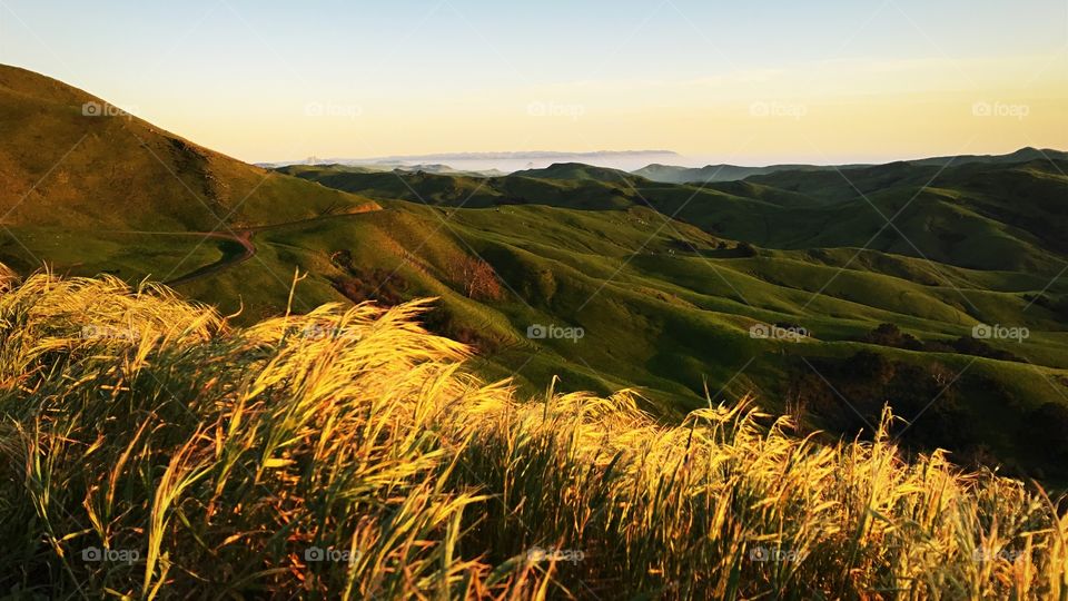 Rolling hills, Green Valley Rd, Cayucos, California, sunset, grass field, lanscape
