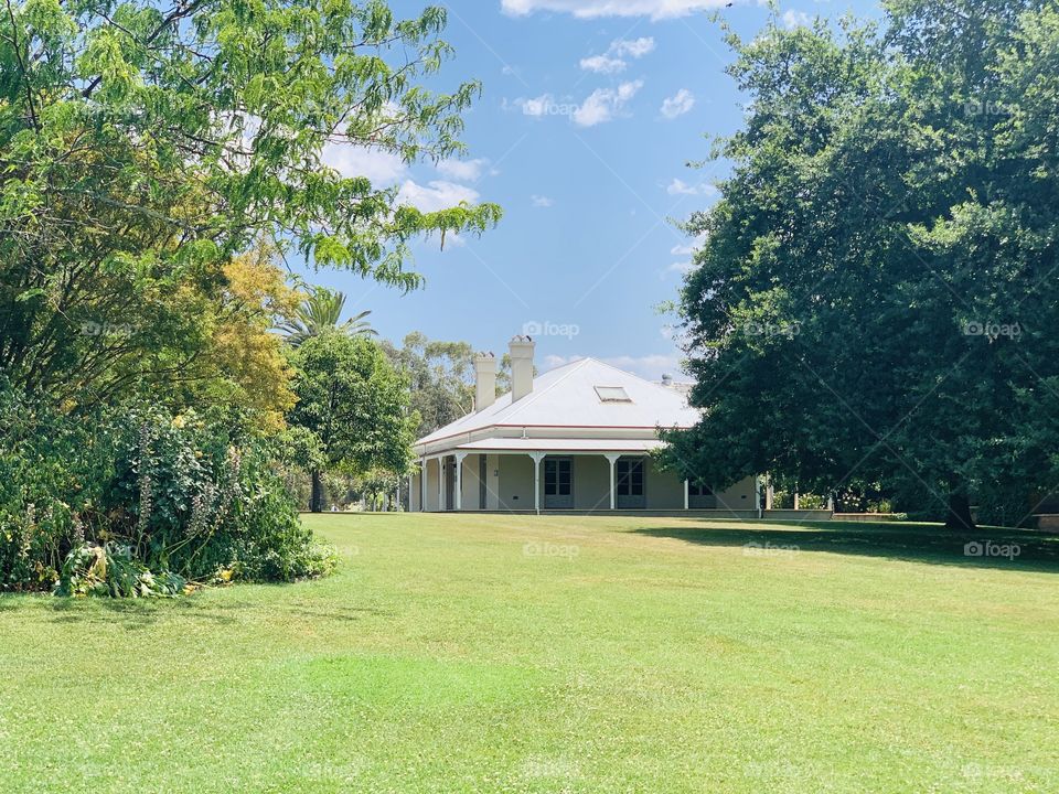 Beautiful scenery amongst a local winery! 🍷