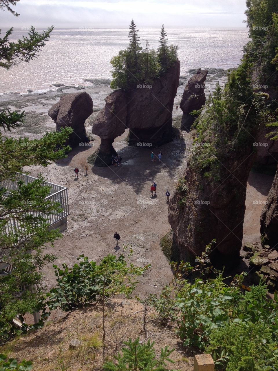 Low tide at the Bay of Fundy, Canada 