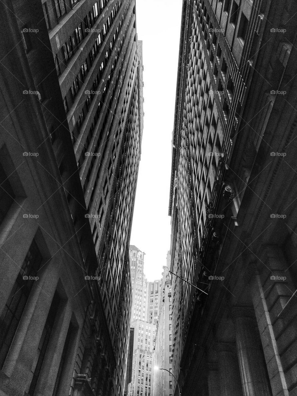 concrete jungle, Manhattan
