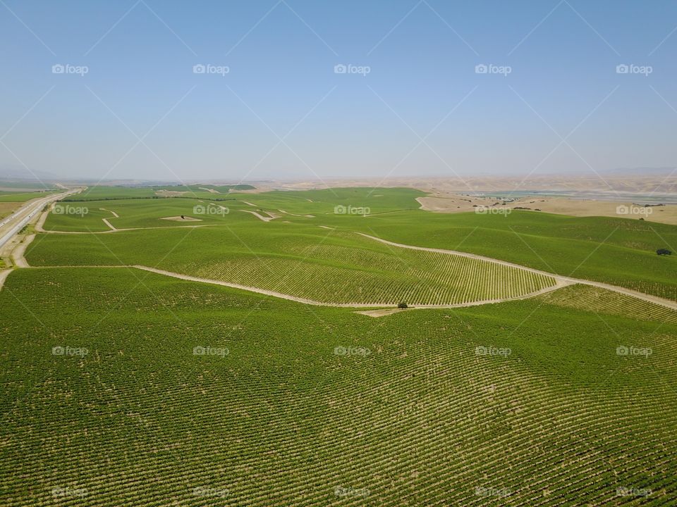 Landscape, No Person, Agriculture, Grass, Countryside