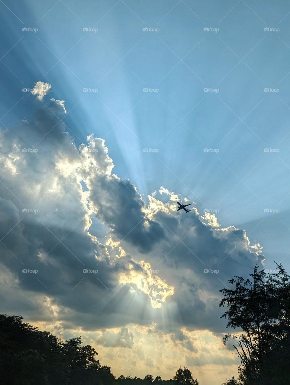 rays of sun and a plane