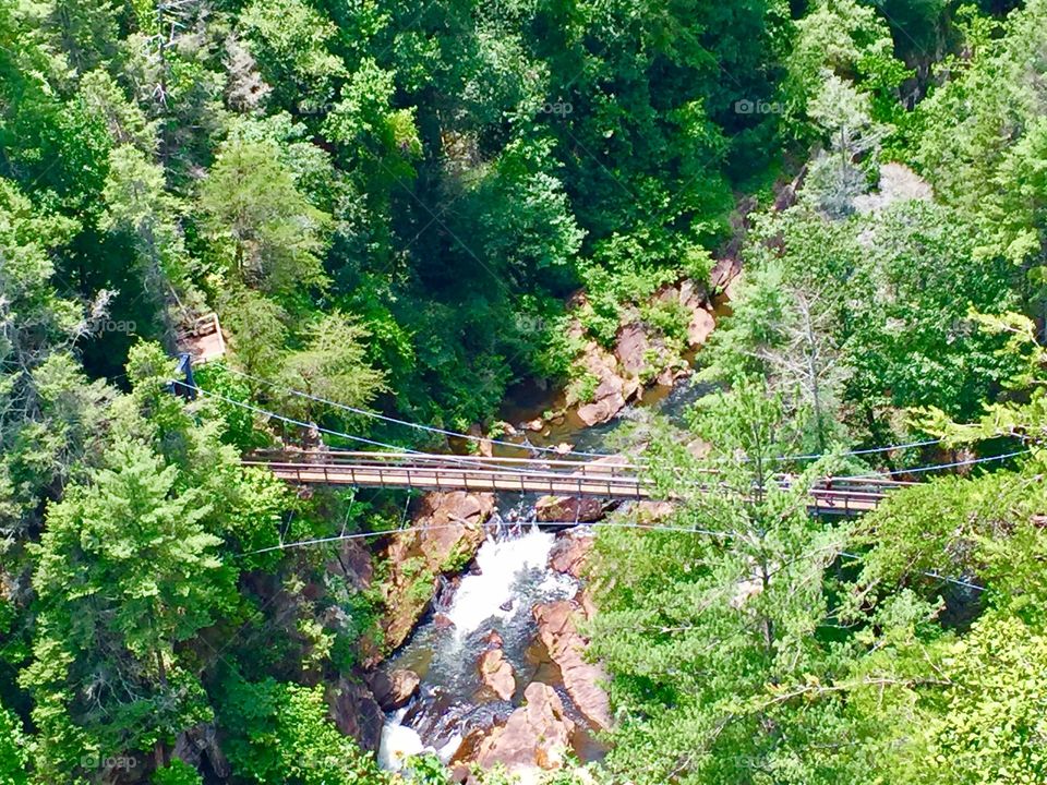 Georgia Waterfall and wooden bridge 