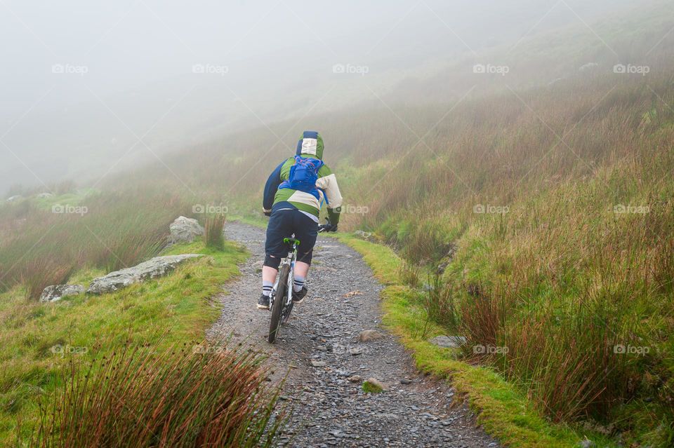 Mountain bike. Back view at  biker on mountain bike cycling on mountain trail.