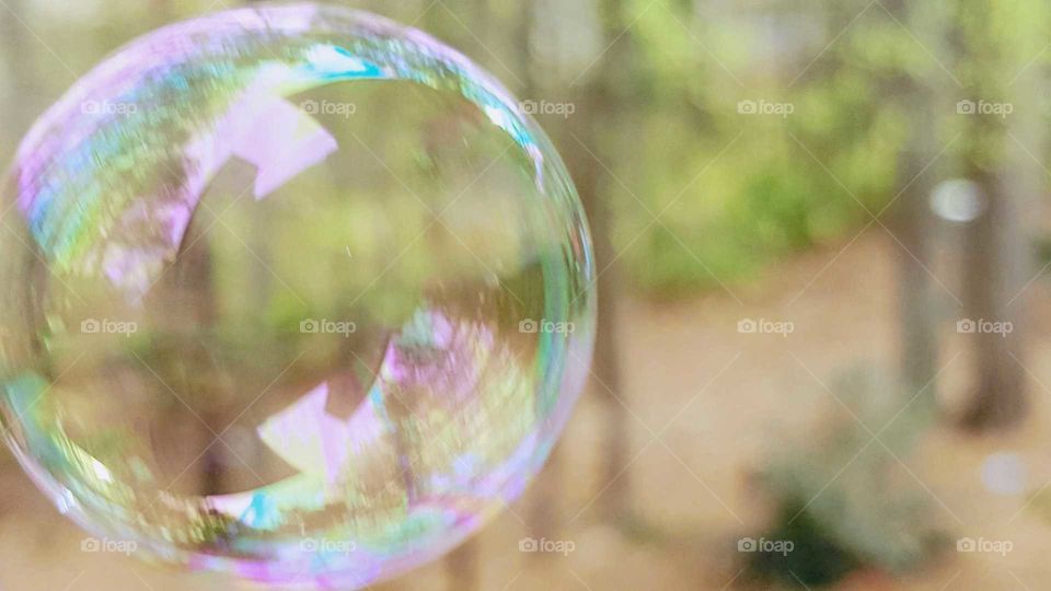 Close-up of bubble