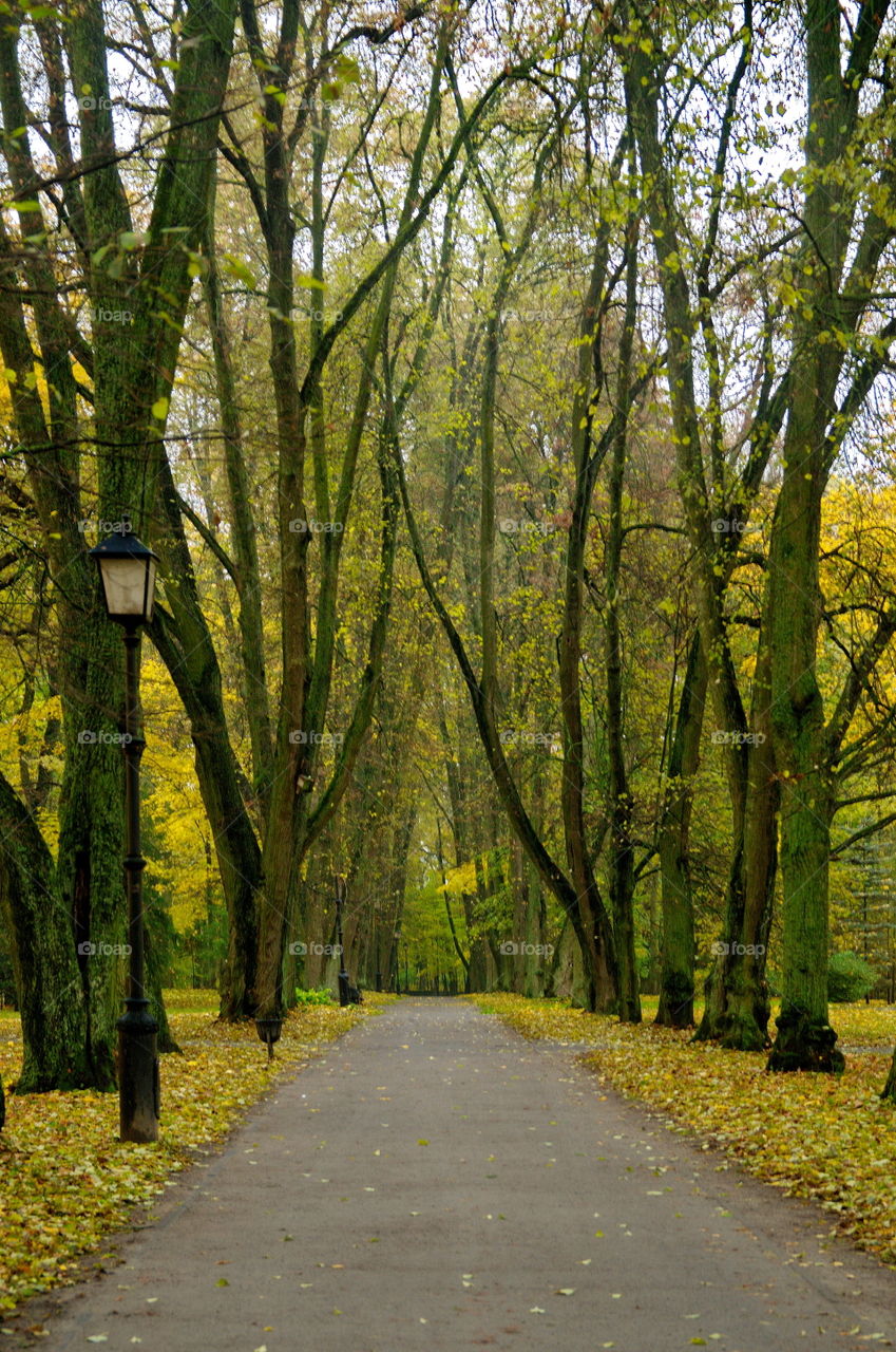 Stary Park, Nesvizh, Belarus. One of the Parks outside the Nesvizh Castle Walls.