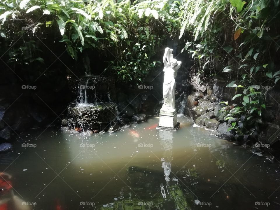 Fish pond at the hotel