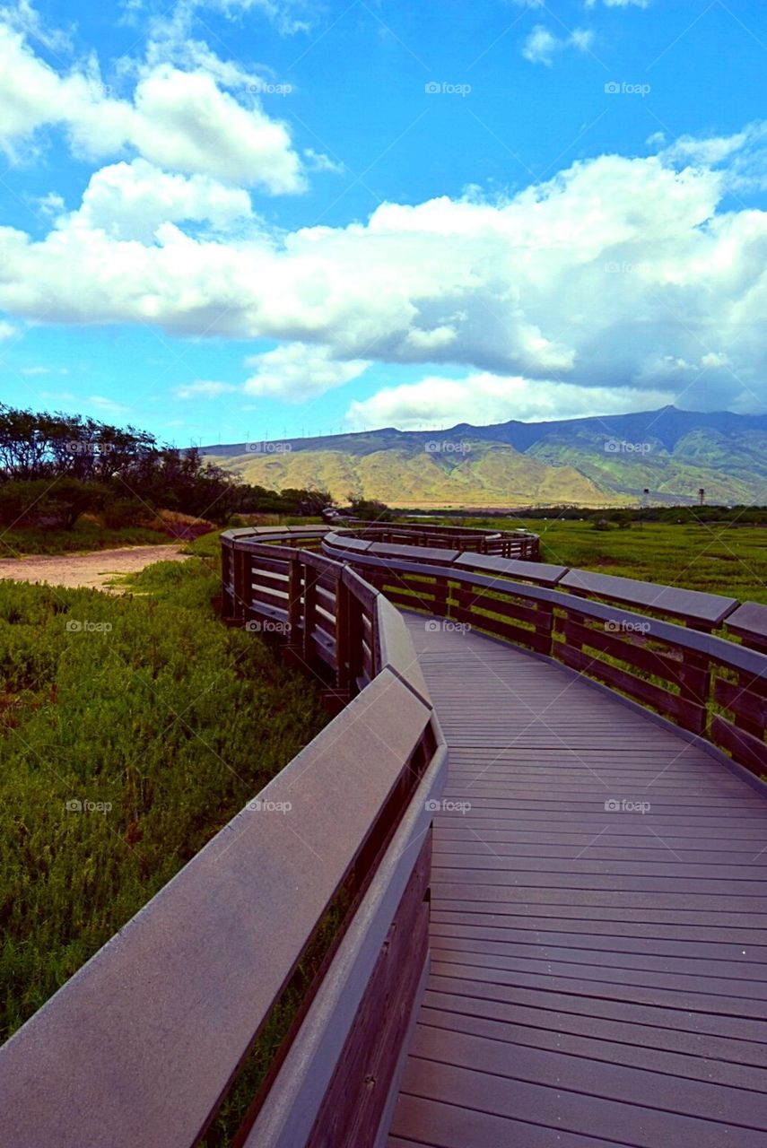 Boardwalk