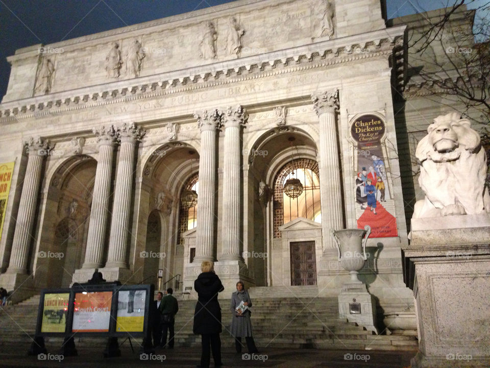lion library new york city columns by gatoritis