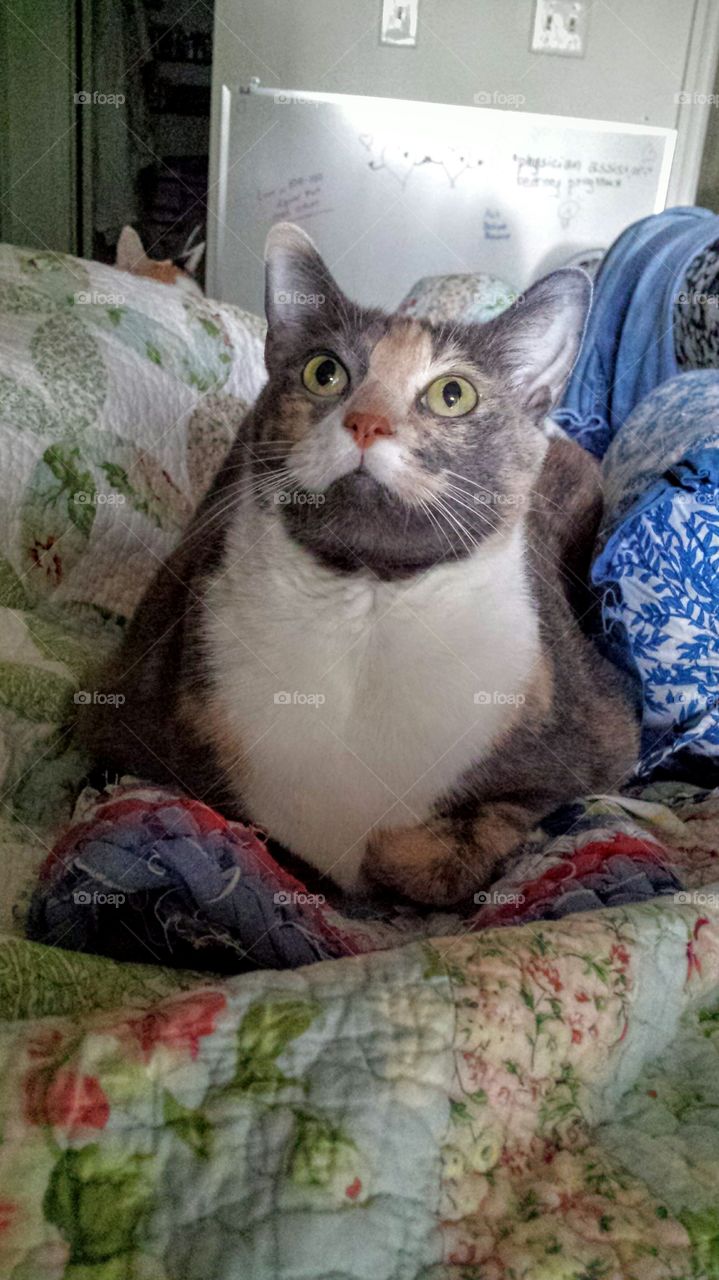 Things are Looking Up