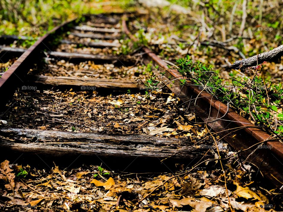 Old abandoned tracks
