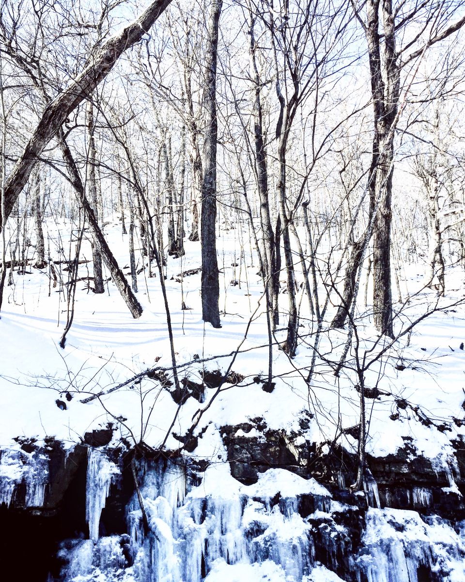 Winter wonderland in Québec, Canada