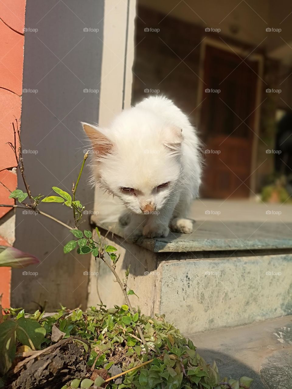 taking a sunbath is  important for my body