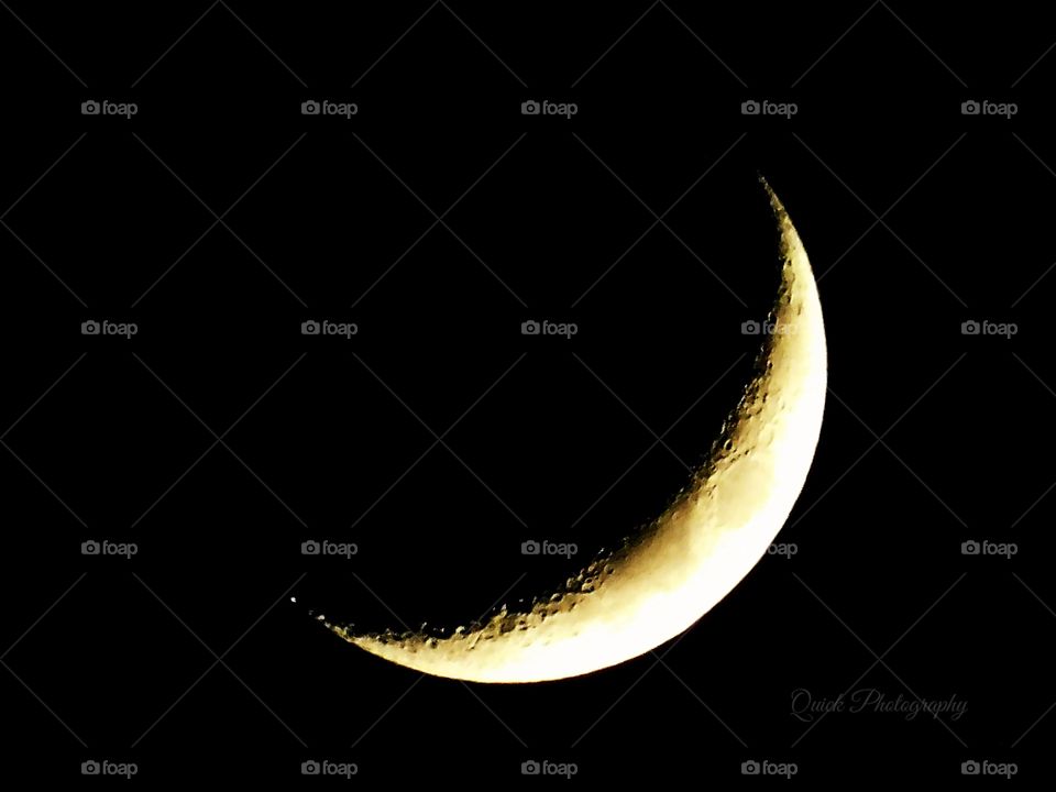Moon Crescent 