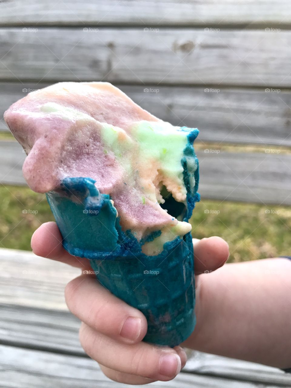 Melting Sherbet on Bitten Cone