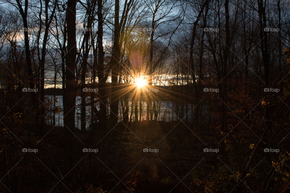 Sunset in the woods