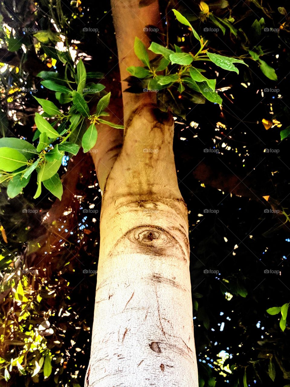 The eye of nature is watching you.... lol
