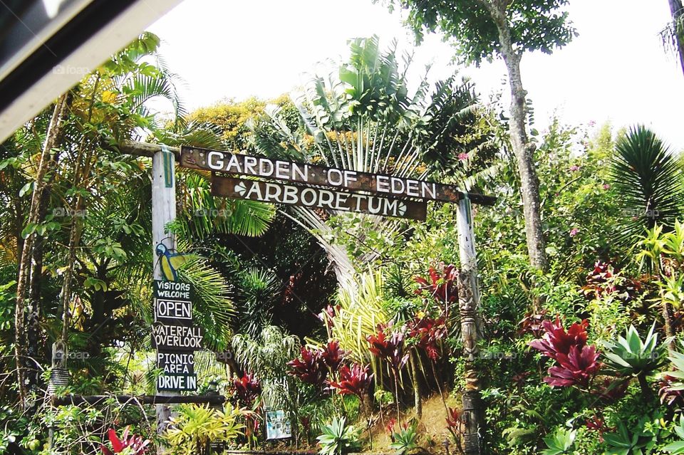 Garden of Eden-Maui Hawaii 