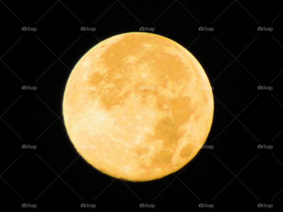 harvest moon. Beautiful harvest moon.