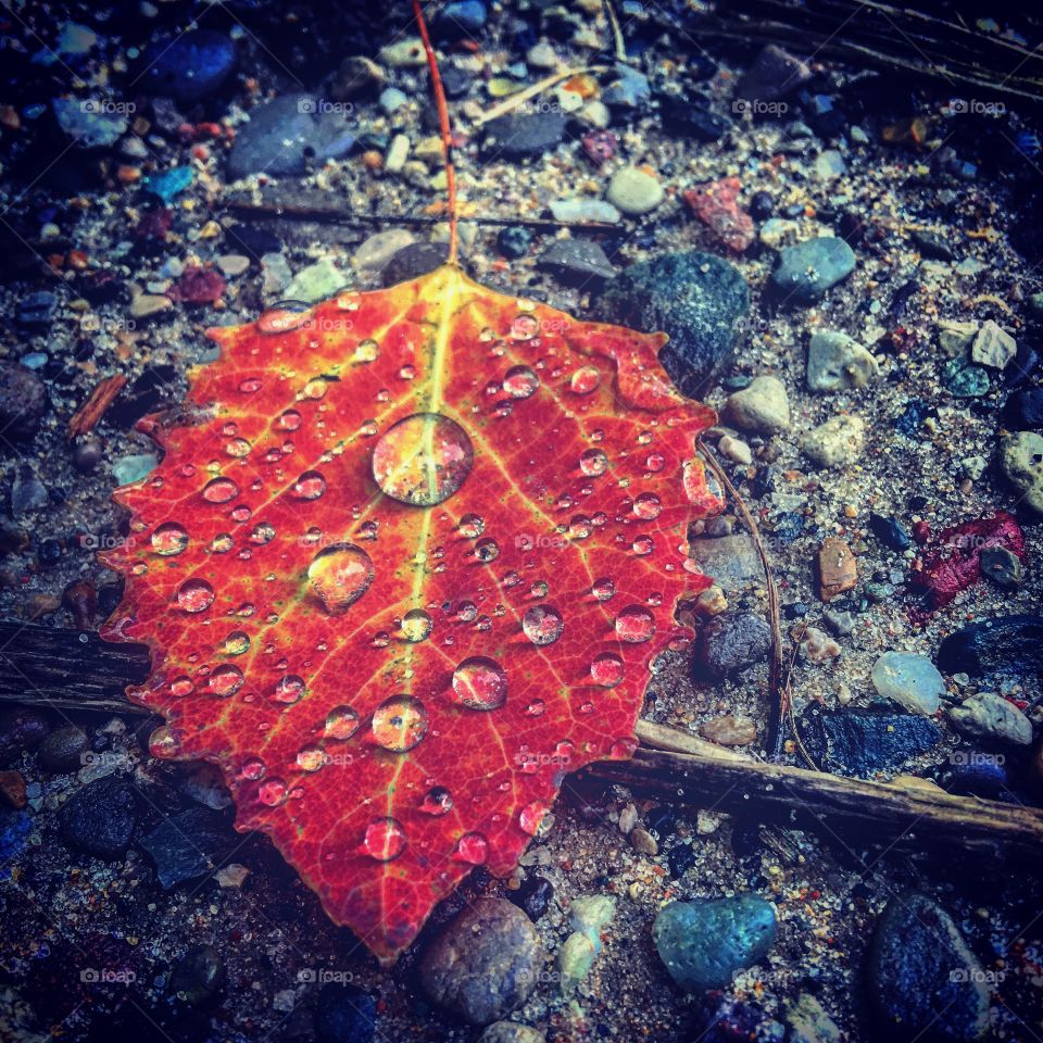 Falling in love with these colors