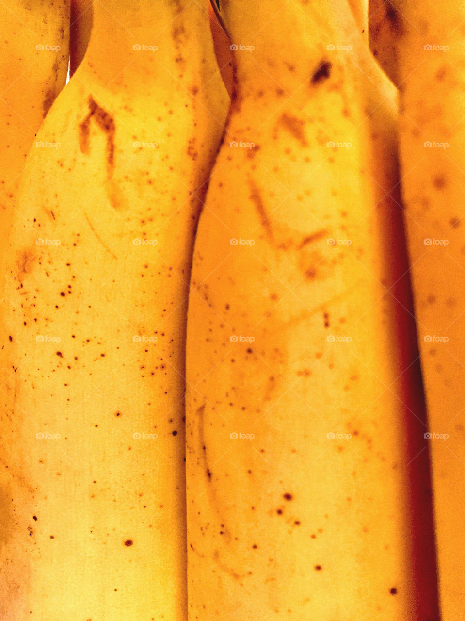 Close up of ripe yellow bananas 