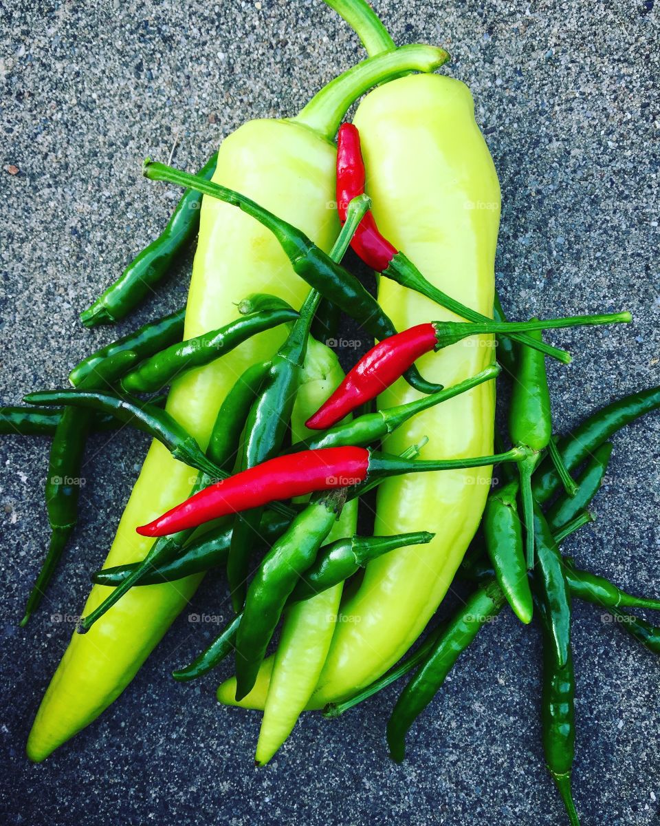 Fresh Picked Peppers From The Garden