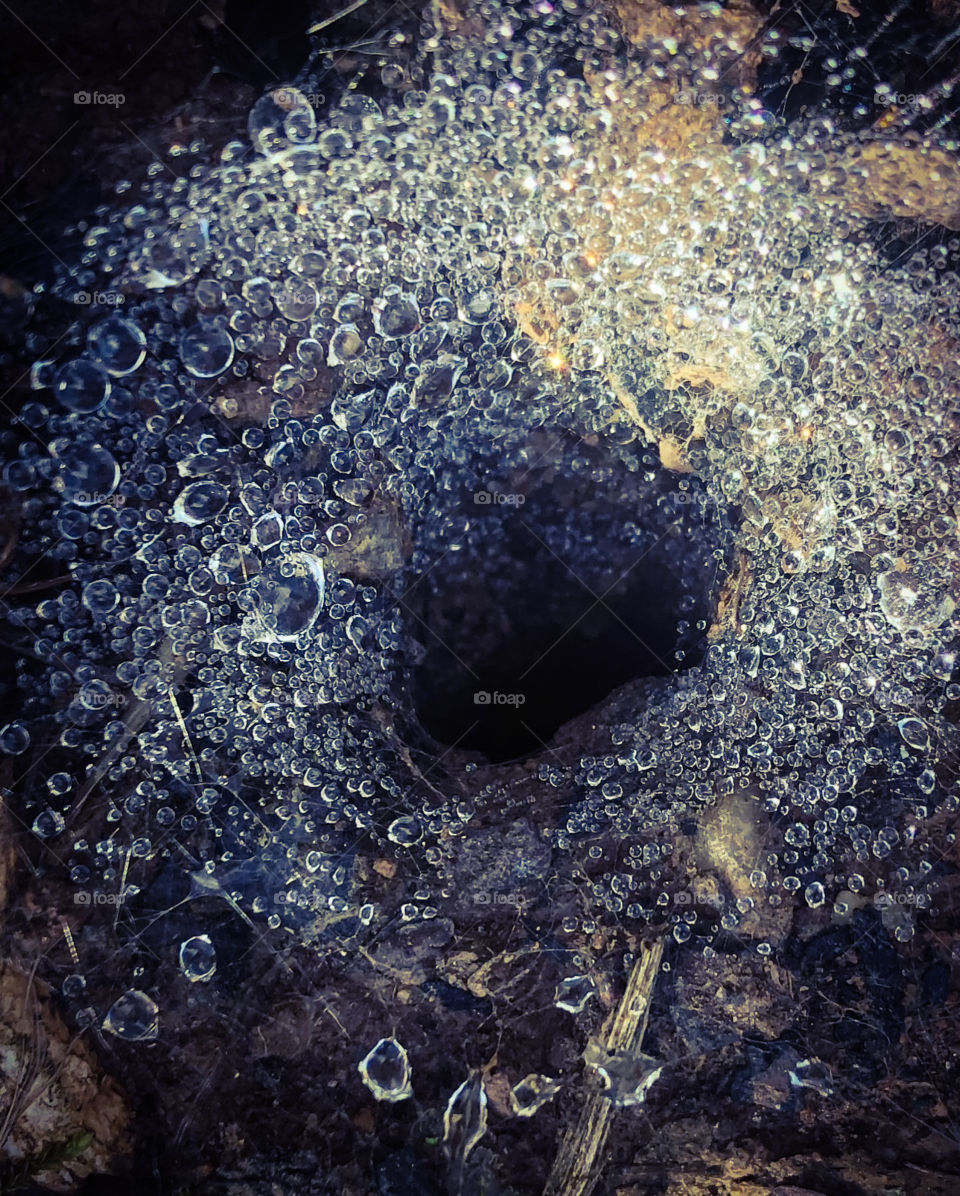 Raindrops lay clustered on this spider web that goes into a hole in the ground 