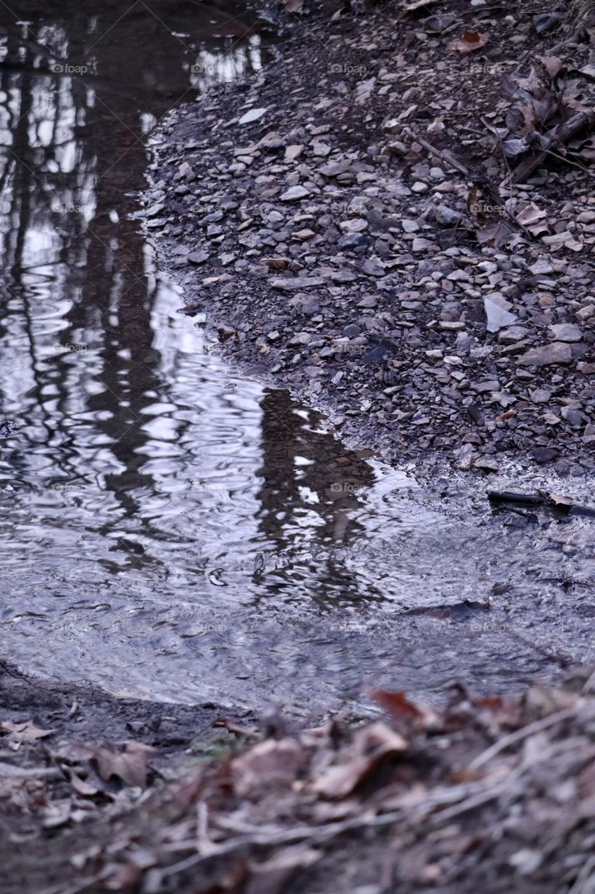Rippling water in a rocky river bed in the forest.