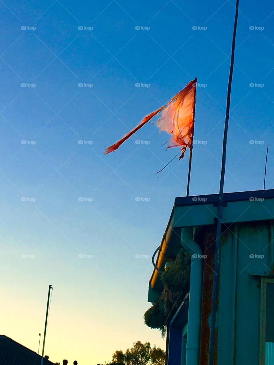 Wind eroded flag barely surviving on the wind swept cost