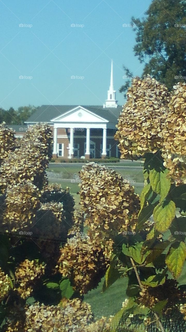Chapel Entrance and Steeple with drying flowers (fall colors)