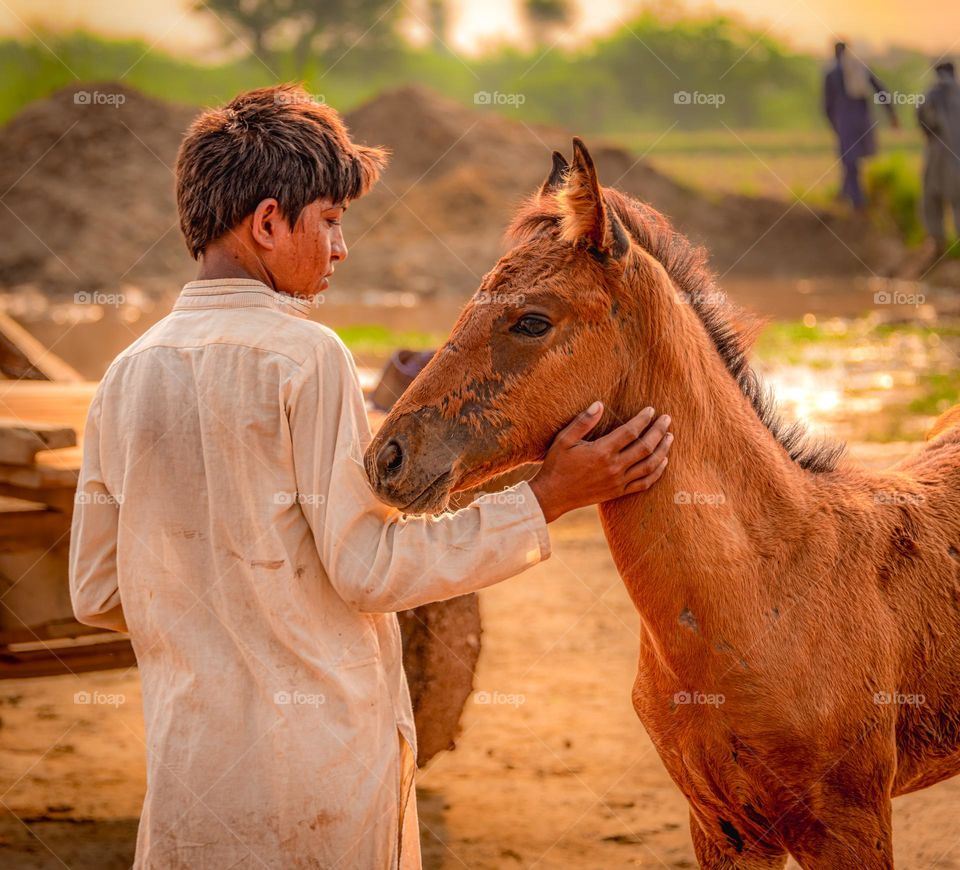 Innocence and Affection