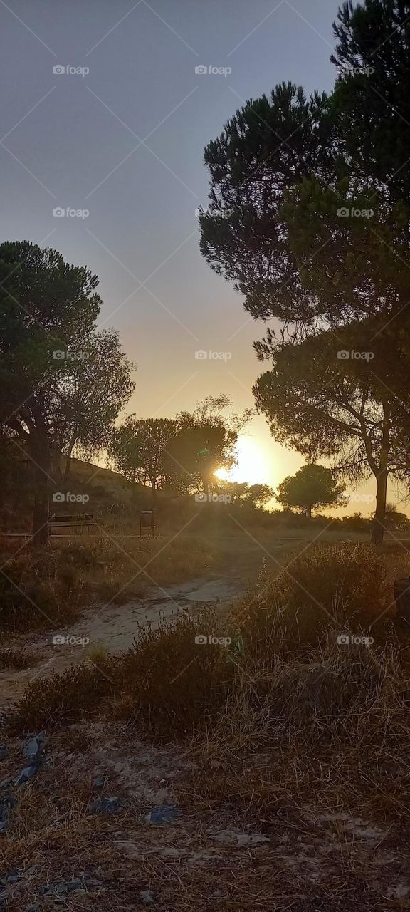 puesta de sol Dunas Doñana