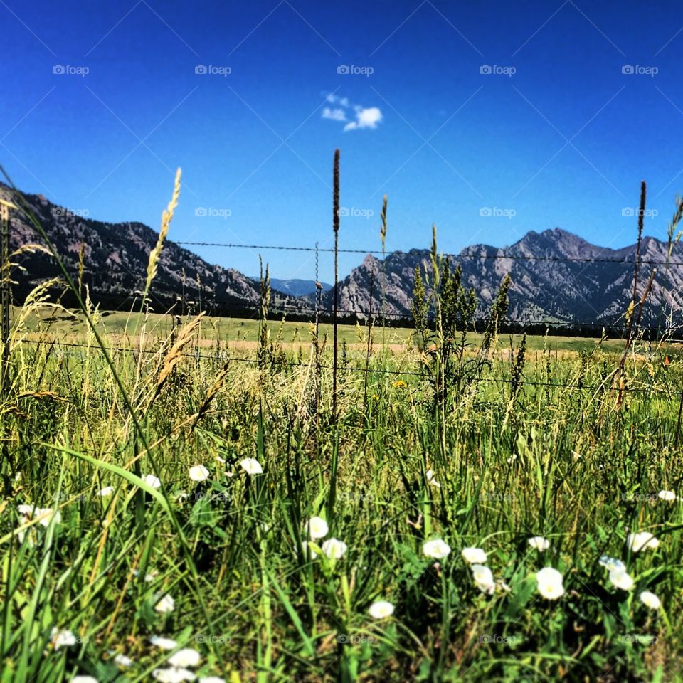 Boulder foothills 