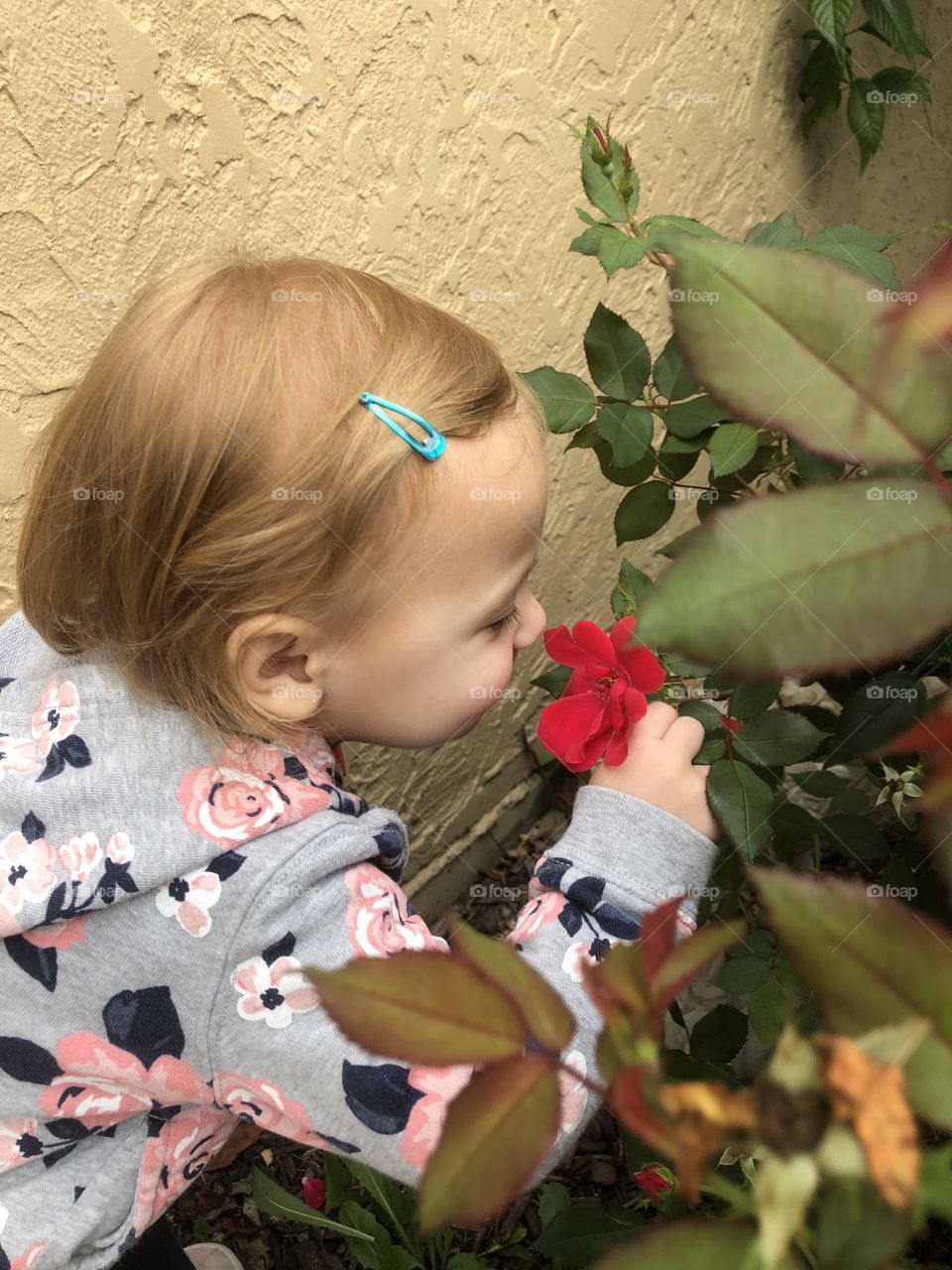 Toddler girl smelling red flower