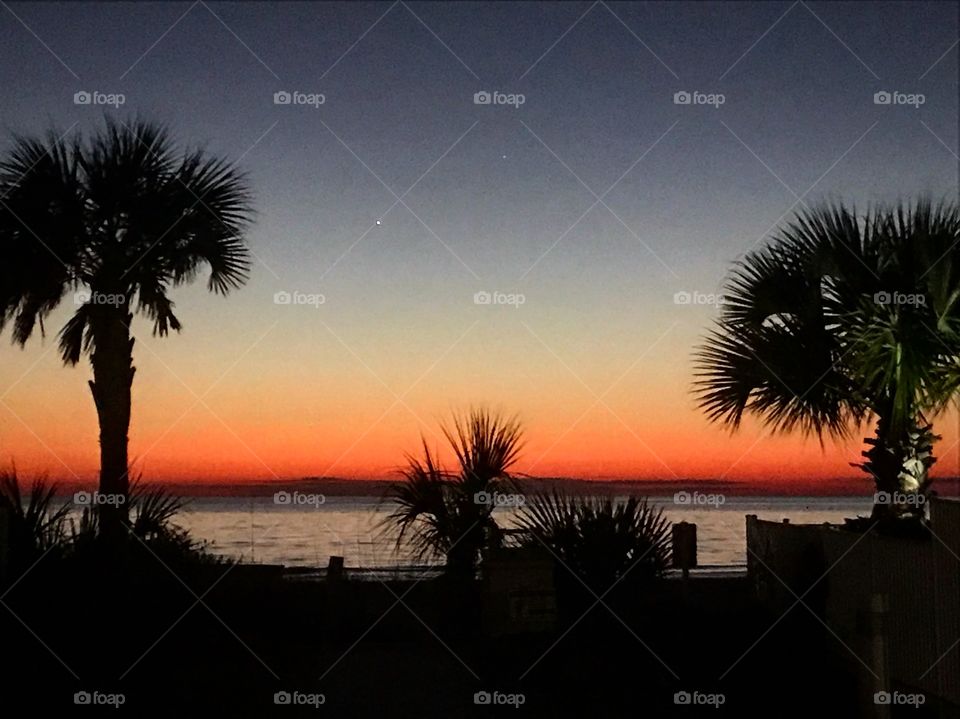 Photo of a sunset over the Gulf of Mexico. Silhouetted palm trees are seen in the foreground, with the water, sand, and sky further in the distance.  Taken near Tampa, FL 
