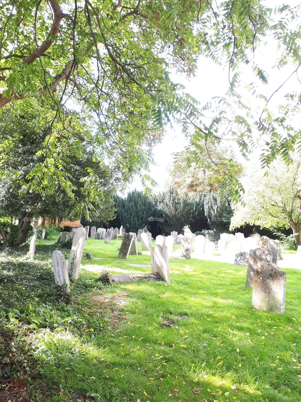 Old English Churchyard