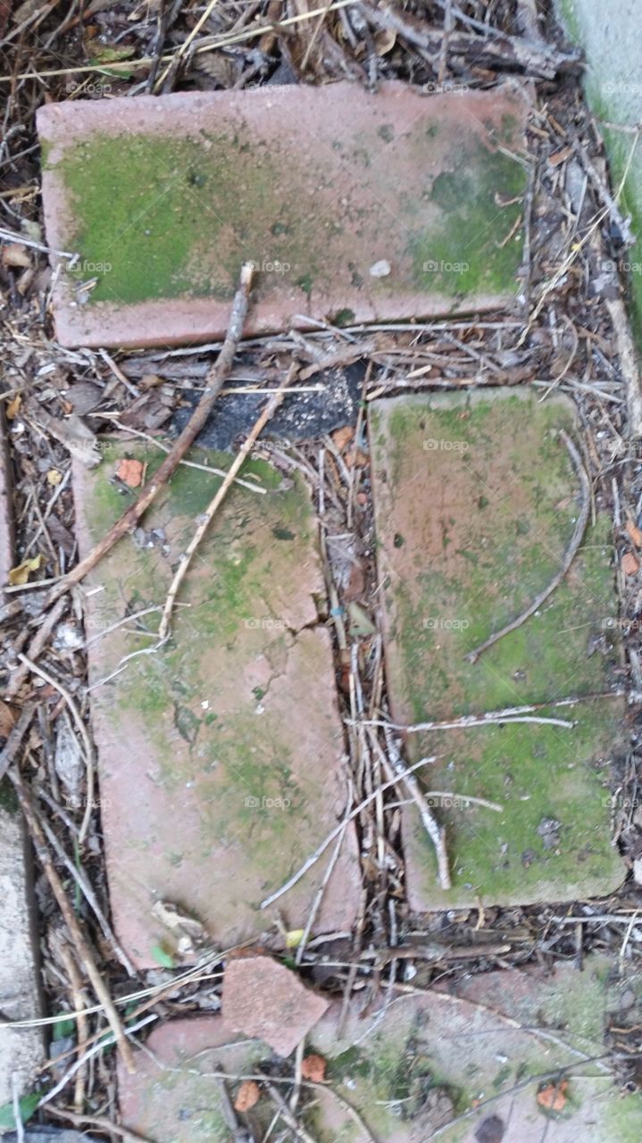 Mossy Brick